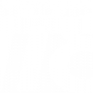 hi88petvn
