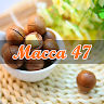 Macca47